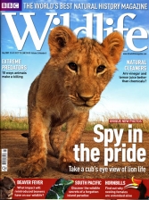 COVERS